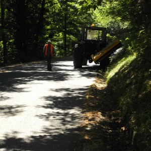 SP39 Brattello sfalci 2020