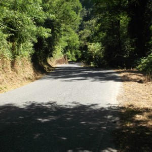 SP63 Guinadi Sfalci