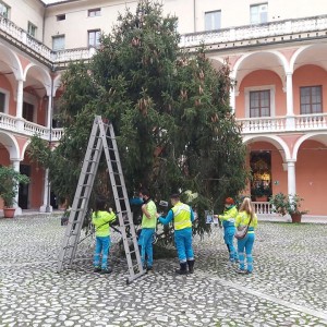 Albero di Natale 2020