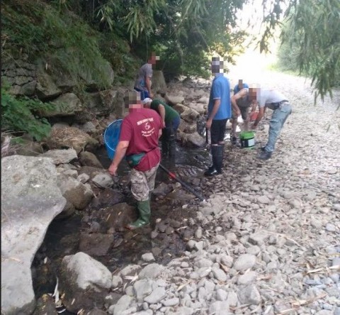 Recupero fauna ittica emergenza siccità