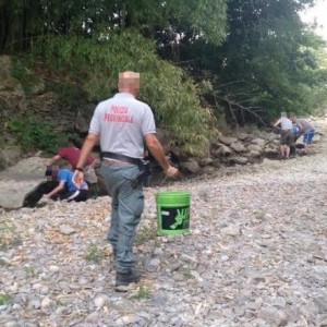 Recupero fauna ittica emergenza siccità