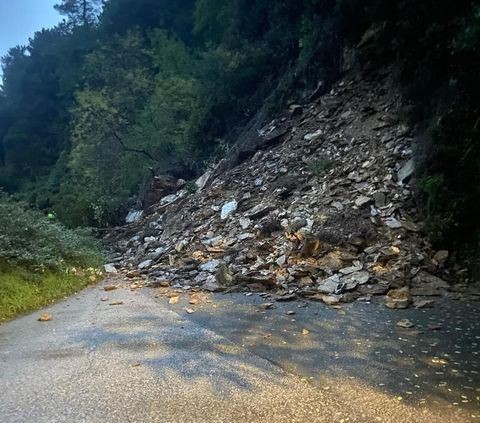 Nella foto in primo piano la carreggiata e la frana che l'ha ompletamente invasa