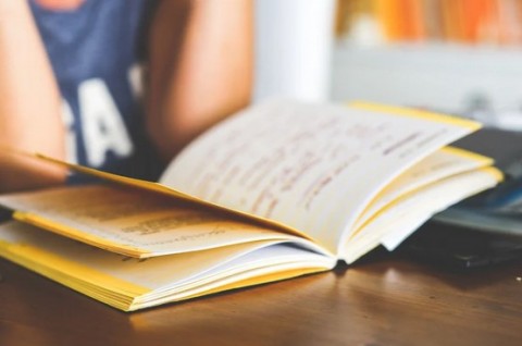 Imagine di repertorio: foto con in primo piano porzione di bbanco scoplastico e libro aperto