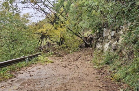 Nella foto in primo piano un tratto di strada con fango, detriti e alberi sulla carreggiata