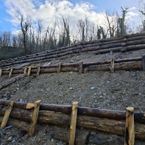 Particolare intervento ingegneria naturalstica con palizzate di conteniomento