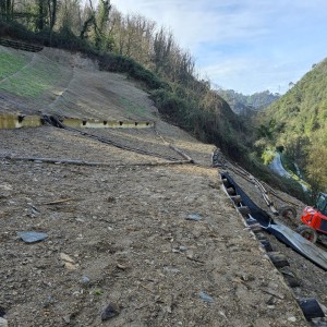 Particolare intervento ingegneria naturalstica con palizzate di conteniomento