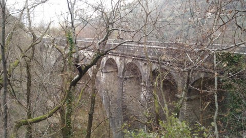 Fot di repertorio in opprimopiano arbuisti sullo sfondo le campate del ponte