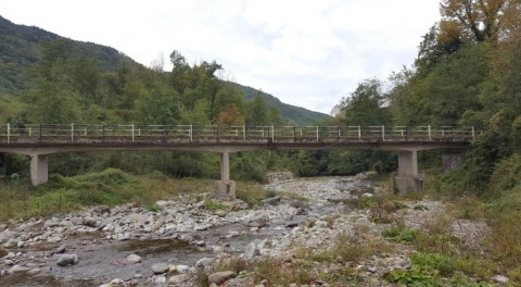 Nella foto la struttur laterale del ponte