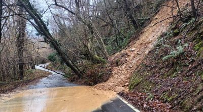 L'immagine è una foto di reperorio di una strada provinciale con smottamento da tereno soprastante e albero su carreggiata