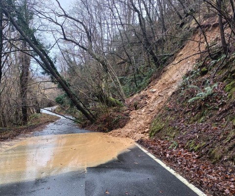 L'immagine è una foto di reperorio di una strada provinciale con smottamento da tereno soprastante e albero su carreggiata